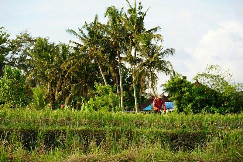 グリーンハーモニー株式会社 - Image 1